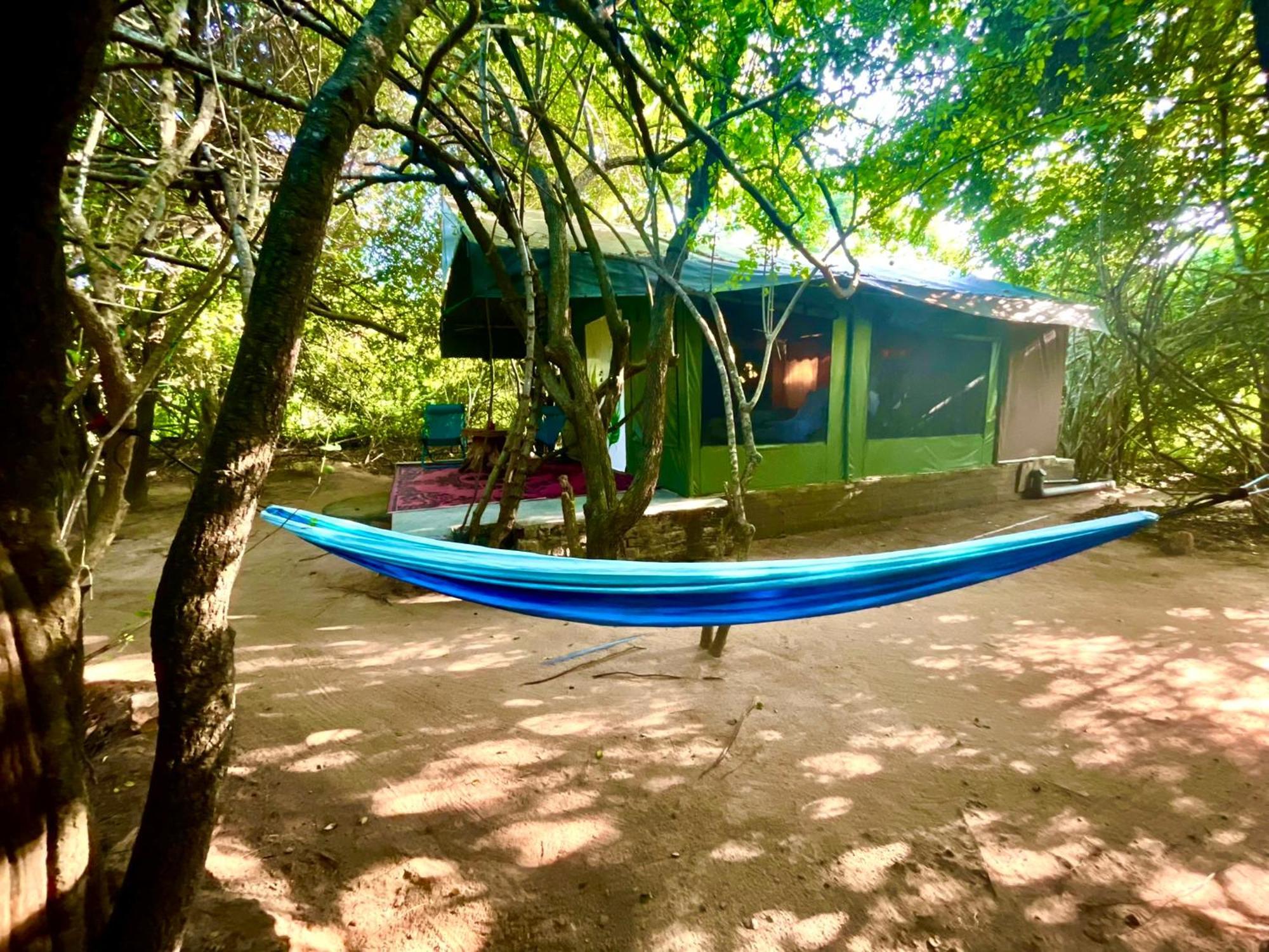 Yala Podi Hoona Bush Camp Exterior foto